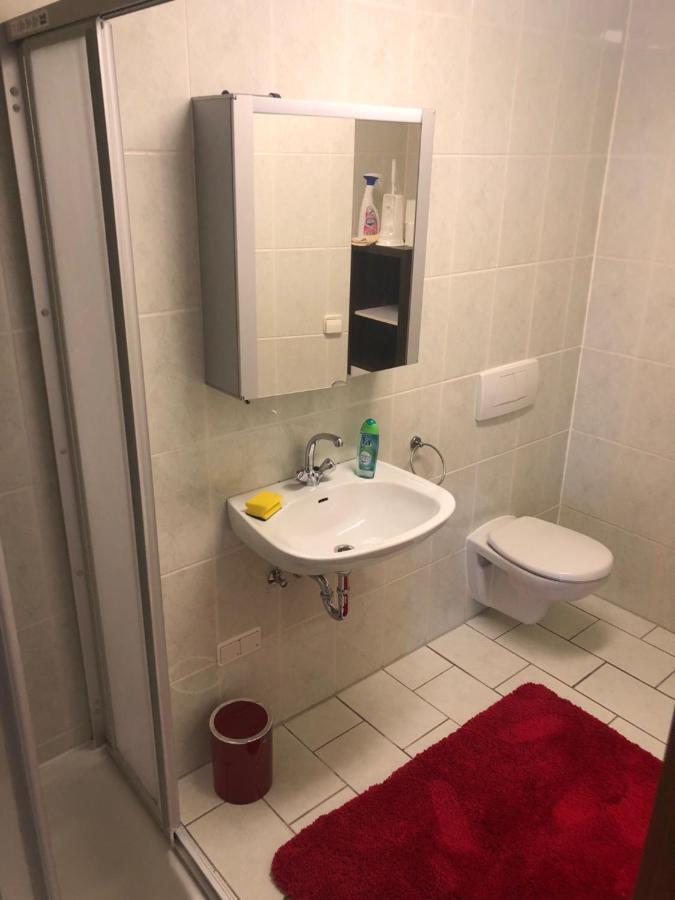 1-Zimmer Apartment, 45 qm, im Weinort Neustadt-Duttweiler Neustadt an der Weinstraße Exterior foto