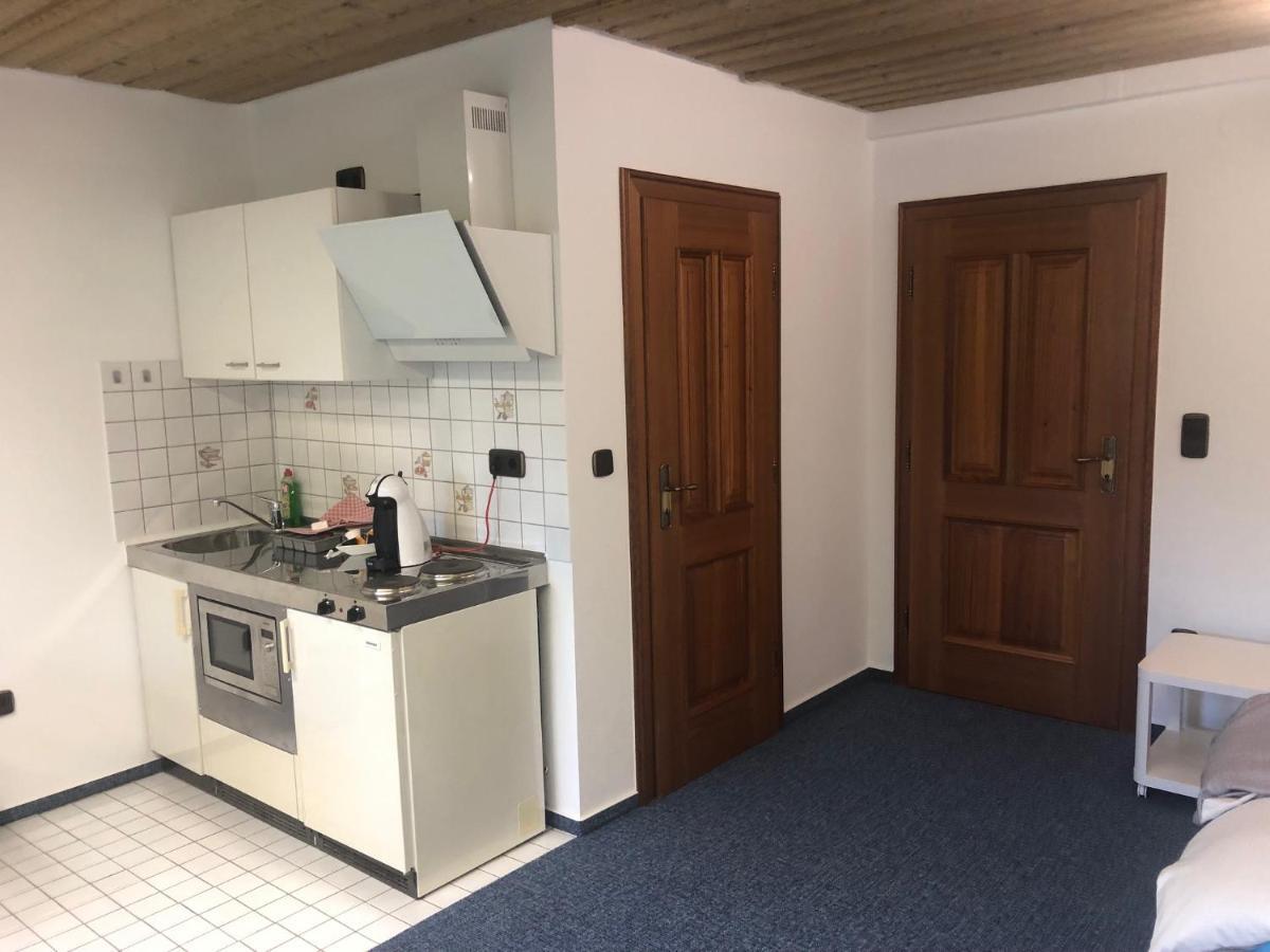 1-Zimmer Apartment, 45 qm, im Weinort Neustadt-Duttweiler Neustadt an der Weinstraße Exterior foto