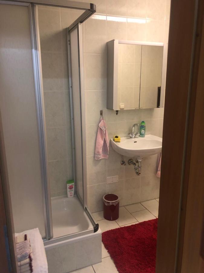 1-Zimmer Apartment, 45 qm, im Weinort Neustadt-Duttweiler Neustadt an der Weinstraße Exterior foto